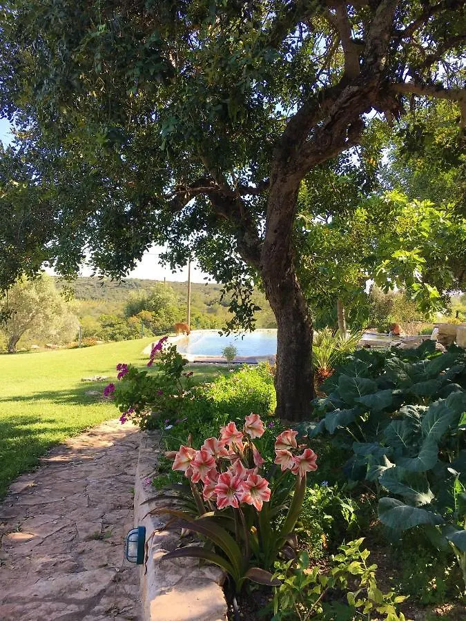 Rustic Villa Tavira With Mountain Views And Pool