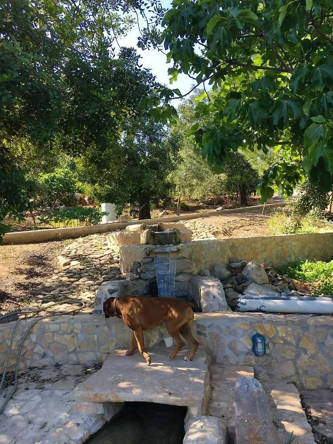 Rustic Villa Tavira With Mountain Views And Pool Portugal
